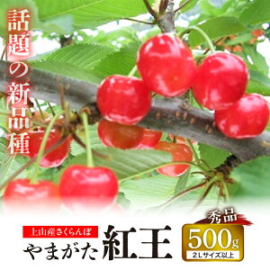 yӂ邳Ɣ[Łz ( ܂ g ) 500g ʕ t[c R` Rs 0025-2605