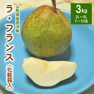 yӂ邳Ɣ[Łzm EtX 3kg t[c R` Rs 0030-2509