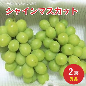 yӂ邳Ɣ[Łz Ԃǂ ( VC}XJbg ) 2[ v 1kg ȏ Gi t[c ʕ 嗱 Ԃǂ 햳 R` Yn   R` Rs 0030-2508