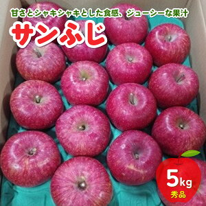 【ふるさと納税】 りんご ( サンふじ ) 5kg 16~25玉 秀品 フルーツ 果物 リンゴ 山形 産地直送 送料無料 お取り寄せ 山形県 上山市 0030-2512