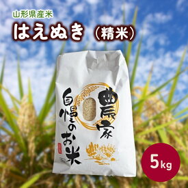 【ふるさと納税】【2025年11月～発送】令和7年産 はえぬき ( 精米 ) 5kg 米 白米 山形 送料無料 産地直送 お取り寄せグルメ 山形県 上山市 0030-2515