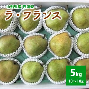 yӂ邳Ɣ[Łzm EtX 5kg t[c R` Rs 0030-2510