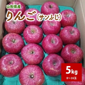 yӂ邳Ɣ[Łz 񂲁iTӂj5kg 8`16 ƒp t[c R` Rs 0030-2513