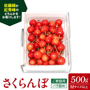 yӂ邳Ɣ[Łzځi   gG j500g ƒp ʕ t[c R` Rs 0030-2601