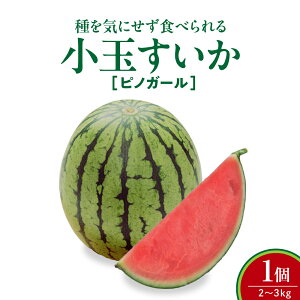 �y�ӂ邳�Ɣ[�Łz ���ʂ����� ( �s�m�K�[�� ) 1�� 2�`3kg �ʕ� �t���[�c �R�`�� ��R�s 0030-2607