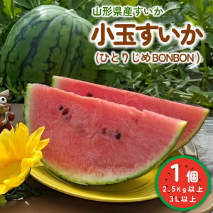 yӂ邳Ɣ[Łz yt[cIzR`̏ʂ ( ЂƂ肶 BONBON ) 1 2.5kg ȏ 3L TCY ȏ ʕ t[c R` Rs 0033-2601