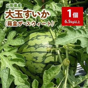 yӂ邳Ɣ[Łzyt[cIzR`̑ icUEXEB[gj1 6.5kg ȏ ʕ t[c R` Rs 0033-2603