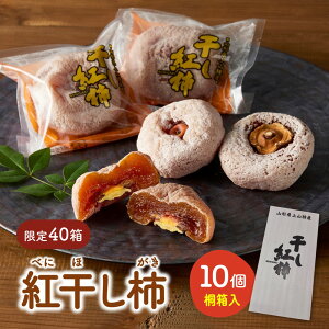 yӂ邳Ɣ[Łzy40z g` 10 ˔  ʌ ʕ t[c ق` Yn  aَq R` Rs 0033-2513
