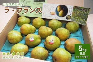 yӂ邳Ɣ[Łz m ( EtX ) 5kg Gi ʕ t[c mȂ Yn R`   R` Rs 0037-2509