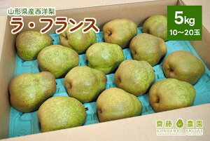 yӂ邳Ɣ[ŁzmiEtXj 5kg ƒp ʕ t[c Yn mȂ R`   R` Rs 0037-2508