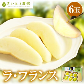 【ふるさと納税】 西洋梨 ( ラ・フランス ) 6玉 秀品 3L～4L サイズ 洋なし 果物 フルーツ 産地直送 山形 お取り寄せ 送料無料 山形県 上山市 0037-2606