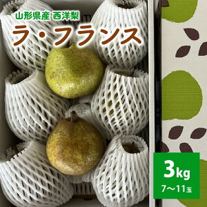 【ふるさと納税】西洋梨(ラ・フランス)3kg ご家庭用 山形県 上山市 0041-2502