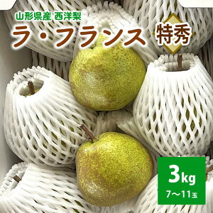 yӂ邳Ɣ[Łz m i EtX j 3kg p R` Rs 0041-2503