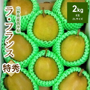yӂ邳Ɣ[Łzm iEtXj 2kg 8 Gi ʕ t[c mȂ R` Yn   R` Rs 0042-2504