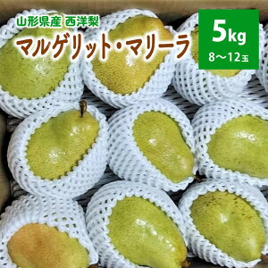 yӂ邳Ɣ[Łzmi}QbgE}[j5kg 8`12 ƒp t[c ʕ R` Rs 0042-2602