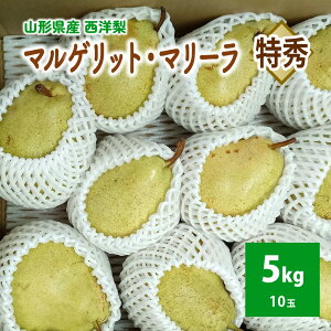 yӂ邳Ɣ[Łzmi}QbgE}[j5kg 10 Gi t[c ʕ R` Rs 0042-2604