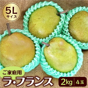 yӂ邳Ɣ[Łzm ( EtX ) 2kg 4 ƒp mȂ ʕ t[c R` Rs 0042-2511