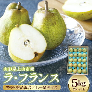 yӂ邳Ɣ[ŁzEtX 5kg 20`24 GEGi  m I ܍͔| 񂹃O R` Rs 0042-2512