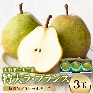 yӂ邳Ɣ[ŁzmiEtXji5`6Lj3 Gi mȂ ʕ t[c 蕨 Mtg R` Rs 0042-2513