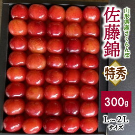 【ふるさと納税】さくらんぼ 佐藤錦 300g お化粧詰め 特秀品 化粧箱入 農家直送 フルーツ 果物 お取り寄せグルメ 冷蔵配送 贈答 ギフト プレゼント 東北 山形県 上山市 0044-2403