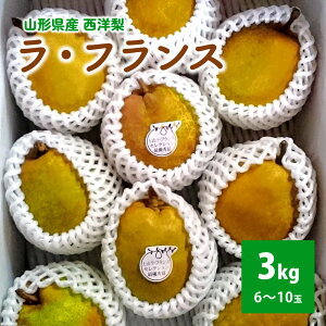 yӂ邳Ɣ[Łzy_IzmiEtXj3kg ƒp t[c R` Rs 0044-2504
