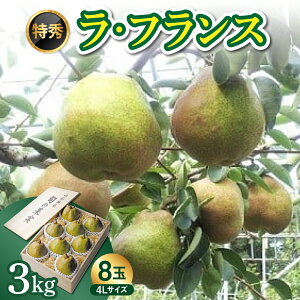 yӂ邳Ɣ[Łz ʌ聄 mi EtX j3kgyɂ݁z˔ 4L 8 t[c R` Rs 0044-2508