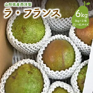 yӂ邳Ɣ[ŁzmiEtXj6kgi3kg×2j ƒp 6L`2L TCY ʕ t[c m  Yn  R` Rs 0047-2512