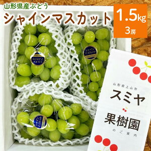 yӂ邳Ɣ[ŁzԂǂ (VC}XJbg) 1.5kg ([) KiO ʕ t[c Ȃ  Yn  R` Rs 0047-2509
