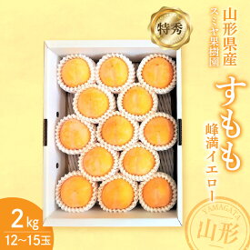 【ふるさと納税】すもも （ 峰満イエロー ） 2kg 特秀品 12～15玉 化粧箱入り 果物 フルーツ 黄色 お取り寄せ 産地直送 送料無料 山形県 上山市 0047-2608