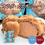 【最大6か月待ち】 オラダ・カカオシュー 6個 お菓子 おやつ デザート スイーツ シュークリーム チョコ 洋菓子 小分け 一人暮らし 少人数 お取り寄せグルメ 冷凍配送 送料無料 山形県 上山市 かみのやま 0048-2404