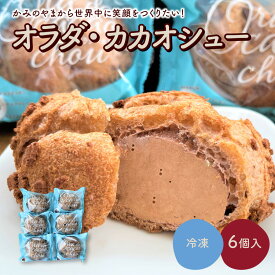 【ふるさと納税】【最大6か月待ち】 オラダ・カカオシュー 6個 お菓子 おやつ デザート スイーツ シュークリーム チョコ 洋菓子 小分け 一人暮らし 少人数 お取り寄せグルメ 冷凍配送 送料無料 山形県 上山市 かみのやま 0048-2404