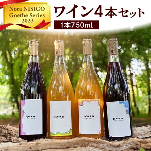 yӂ邳Ɣ[ŁzC 4{ Zbg Nora NISIGOyGoethe Series -2023-z R` Rs 0049-2503