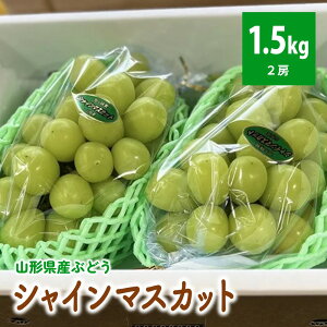 yӂ邳Ɣ[ŁzVC}XJbg 2[ v1.5kg R` Rs Ԃǂ  0049-2508