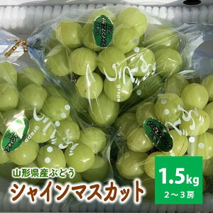 yӂ邳Ɣ[ŁzVC}XJbg 2`3[ v1.5kg ƒp t[c Ԃǂ R` Rs 0049-2510