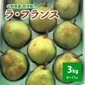 yӂ邳Ɣ[ŁzmiEtXj3kg 8`11 ƒp t[c R` Rs 0049-2512