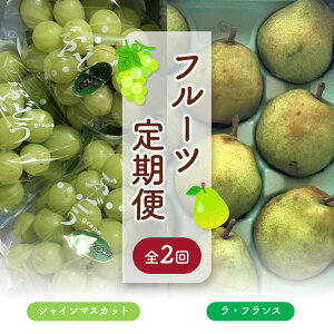 yӂ邳Ɣ[ŁzyցFS2zƒp VC}XJbg 1.5kg  EtX 3kg t[c Ԃǂ m R` Rs 0049-2516