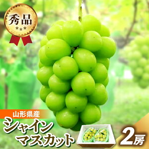 yӂ邳Ɣ[ŁzVC}XJbg 2[ v 1.4kg Ԃǂ t[c ʕ  R` Rs 0049-2517