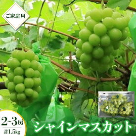 【ふるさと納税】シャインマスカット 2〜3房 合計 1.5kg ご家庭用 フルーツ ぶどう 山形県 上山市 0049-2606