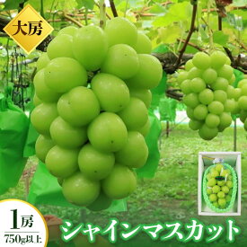 【ふるさと納税】【 特選 ・ 大房 】 シャインマスカット 1房 （ 750g 以上 ） 化粧箱入 ぶどう 葡萄 山形県 上山市 0049-2609