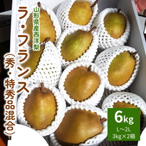 yӂ邳Ɣ[Łzm ( EtX ) 6kg ( 3kg × 2 ) ʕ t[c m  Yn  R` Rs 0050-2501