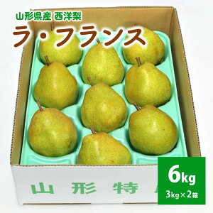 yӂ邳Ɣ[ŁzmiEtXj 6kg 6L`2L ƒp t[c ʕ  tX mȂ k R` Rs 0052-2506