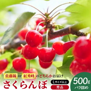yӂ邳Ɣ[Łz  (   gG ) 500g Gi LTCYȏ ol t[c ʕ Yn  R` Rs 0052-2601