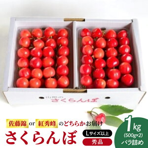 yӂ邳Ɣ[Łz  (   gG ) 1kg ( 500g × 2pbN ) Gi LTCYȏ ol t[c ʕ Yn  R` Rs 0052-2602
