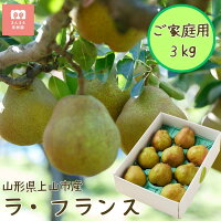 四季豊かな上山の自然で育った芳醇な風味のラ・フランスです