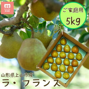 yӂ邳Ɣ[Łzmi EtX j5kg ƒp t[c ʕ R`Y tX m  O Yn  R` Rs 0055-2515