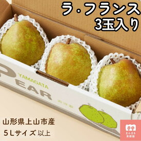 【ふるさと納税】西洋梨 （ ラ・フランス ） 3玉 大玉 特秀品 5L サイズ お試し フルーツ 果物 山形県産 ラフランス 洋梨 お取り寄せ グルメ 産地直送 送料無料 山形県 上山市 0055-2608