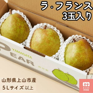 【ふるさと納税】西洋梨( ラ・フランス )3玉 大玉 特秀品 5L サイズ お試し フルーツ 果物 山形県産 ラフランス 洋梨 お取り寄せ グルメ 産地直送 送料無料 山形県 上山市 0055-2518