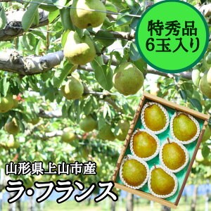 yӂ邳Ɣ[Łzmi EtX j 6 Gi t[c ʕ mȂ R` Yn   R` Rs 0055-2519