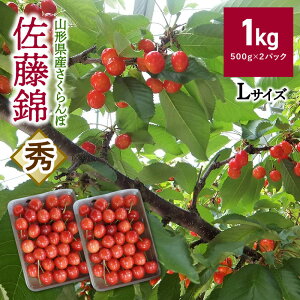 yӂ邳Ɣ[Łz i  j 1kg i 500g × 2pbN j ϔ R` Rs 0056-2604