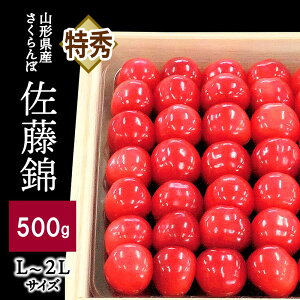 yӂ邳Ɣ[Łzځiсj500g ˔ t[c ʕ   R` Rs 0056-2607